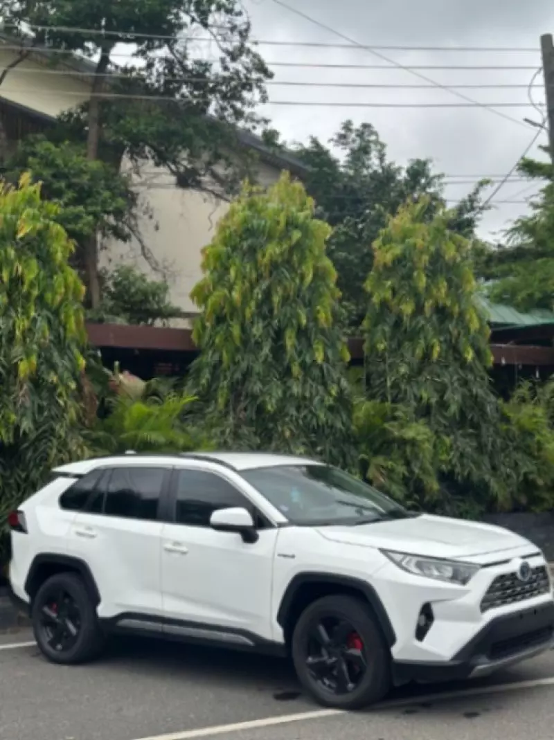 Toyota RAV 4   - 2019