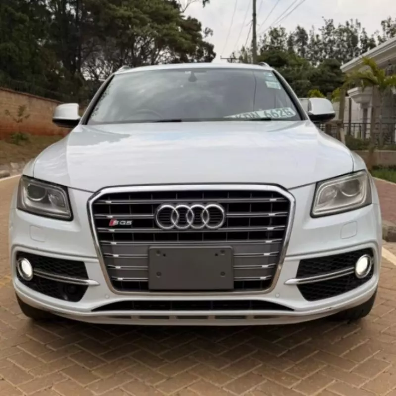 Audi SQ5 - 2016