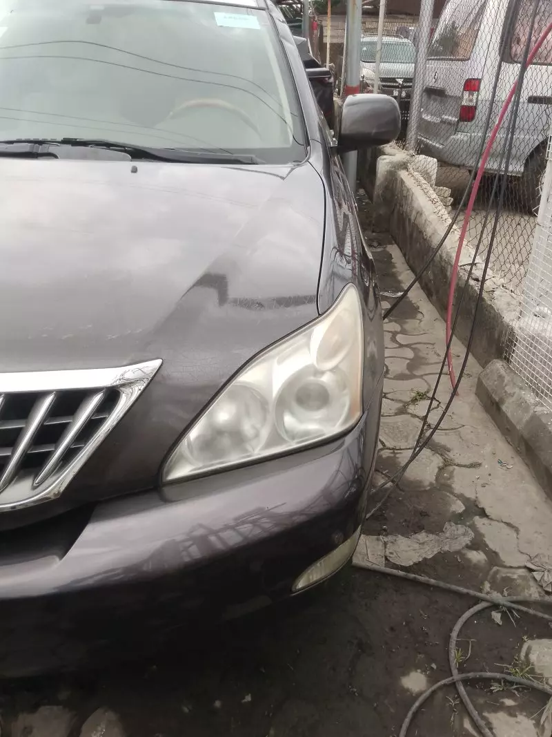 Lexus RX 300   - 2009