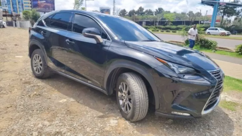 Lexus NX 300   - 2018
