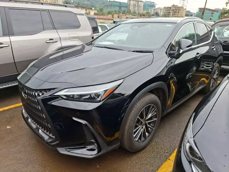 Lexus NX300h Hybrid   - 2023