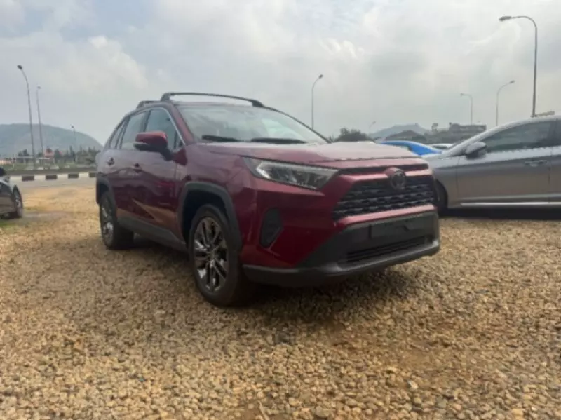 Toyota RAV 4   - 2019