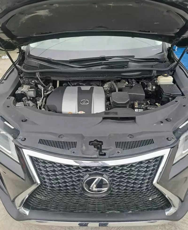 Lexus RX 350   - 2017