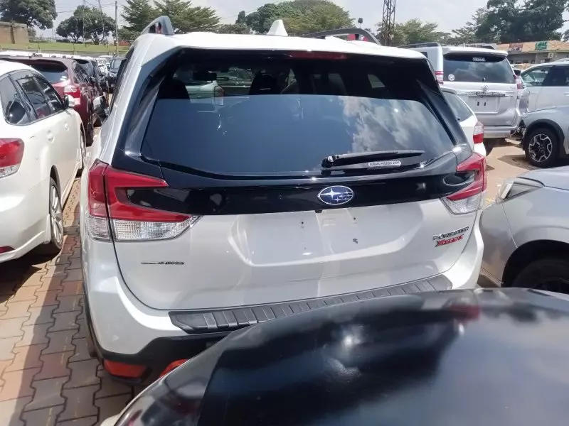 Subaru Forester   - 2019