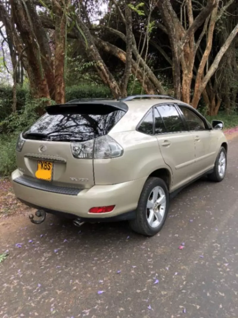 Lexus RX 300 - 2005