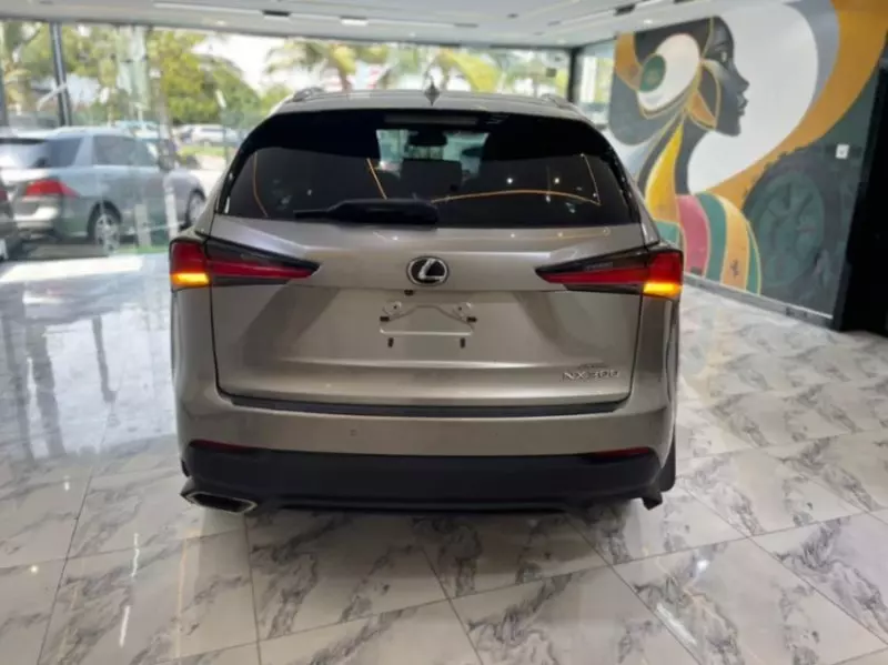 Lexus NX   - 2018
