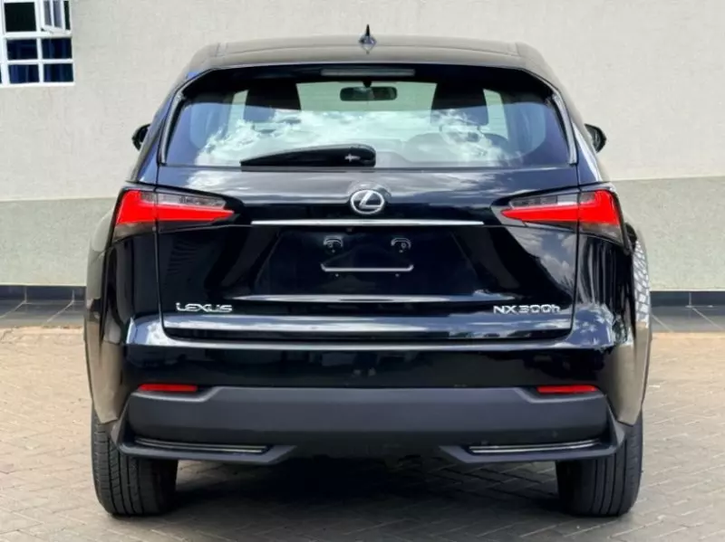 Lexus NX 300