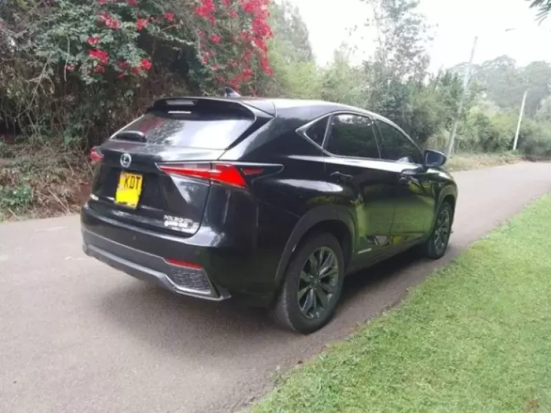 Lexus NX300h Hybrid
