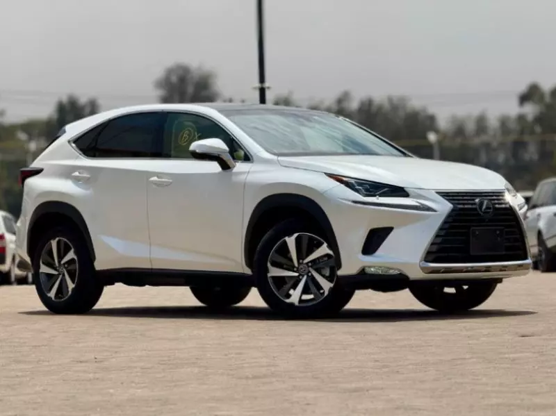 Lexus NX 300   - 2018
