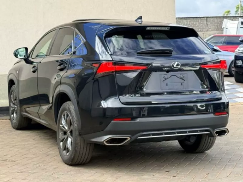 Lexus NX 300   - 2019