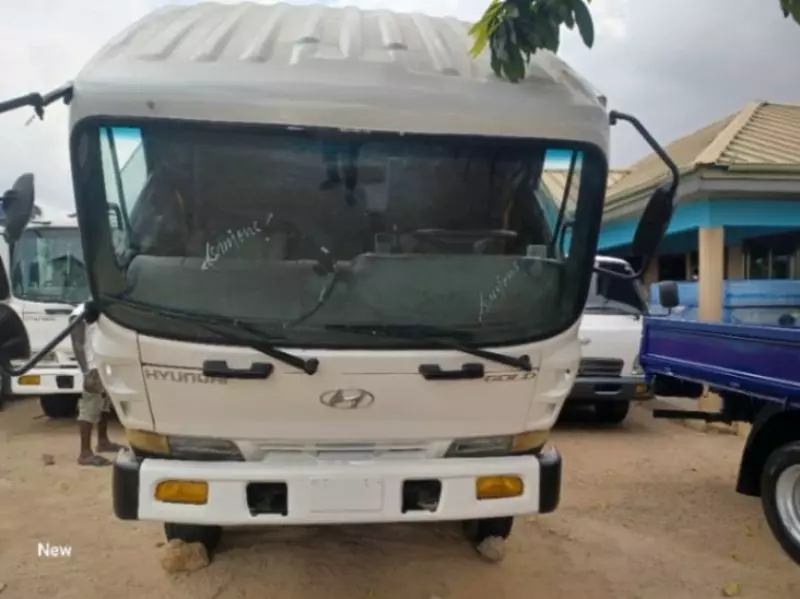 Hyundai Rhino   - 2004