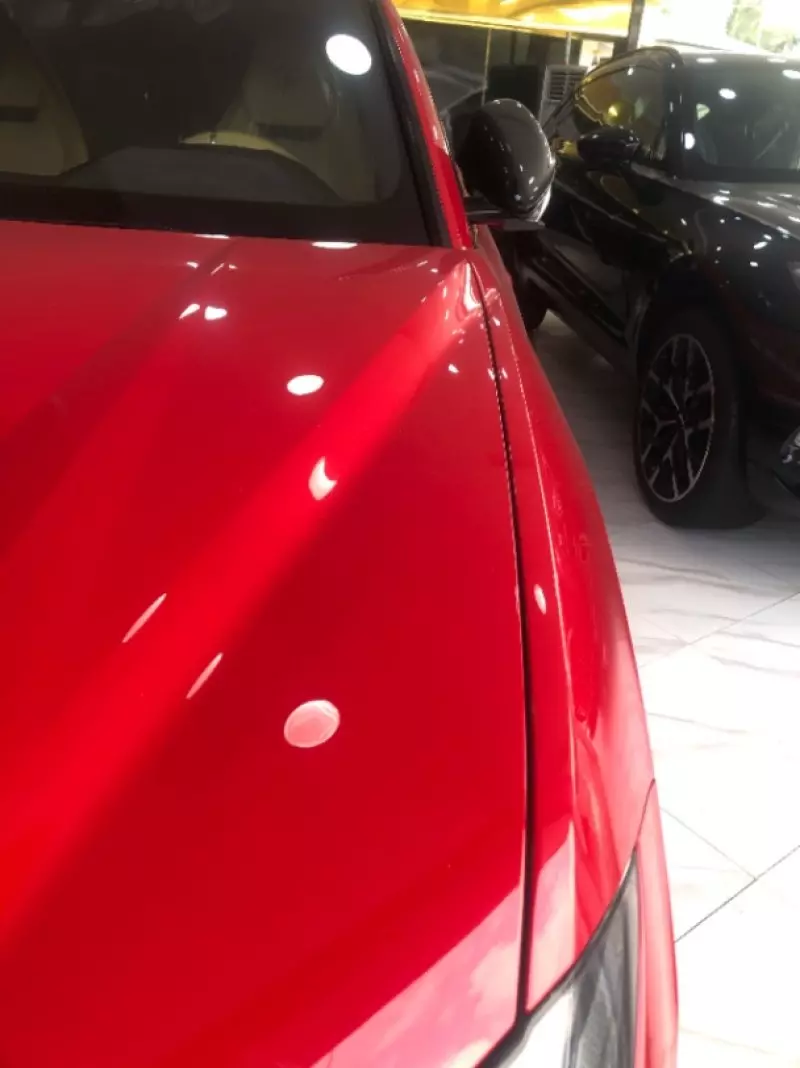 Lamborghini Urus   - 2021