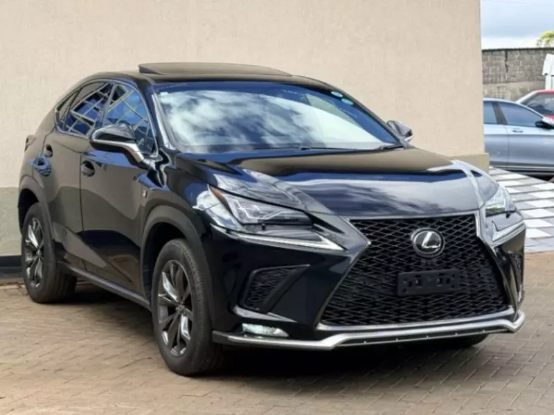 Lexus NX 300   - 2019