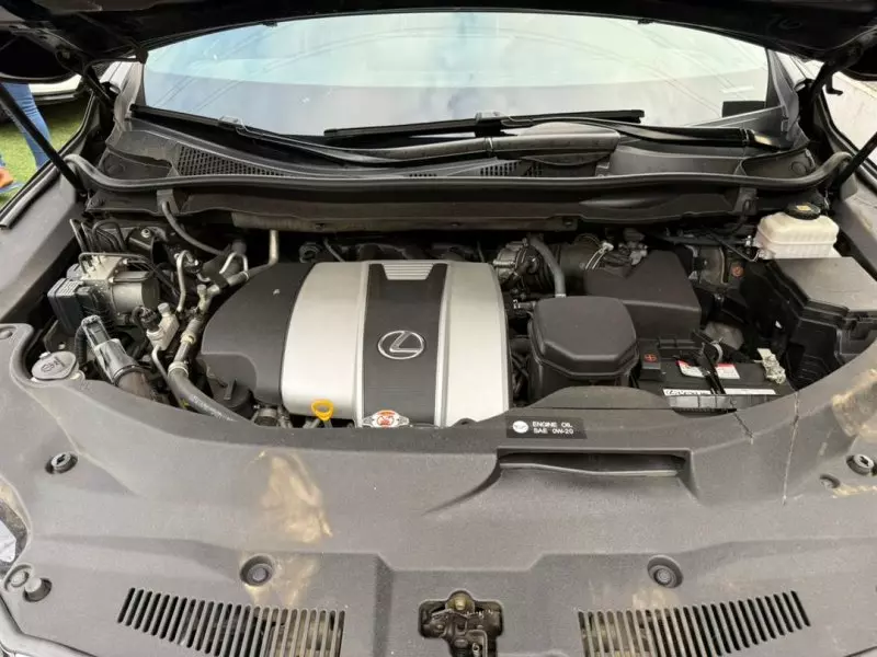 Lexus RX 350   - 2019