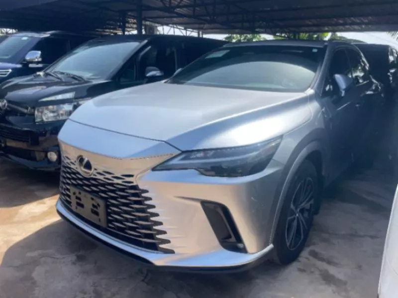 Lexus RX   - 2024