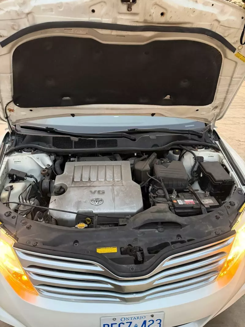 Toyota Venza   - 2009