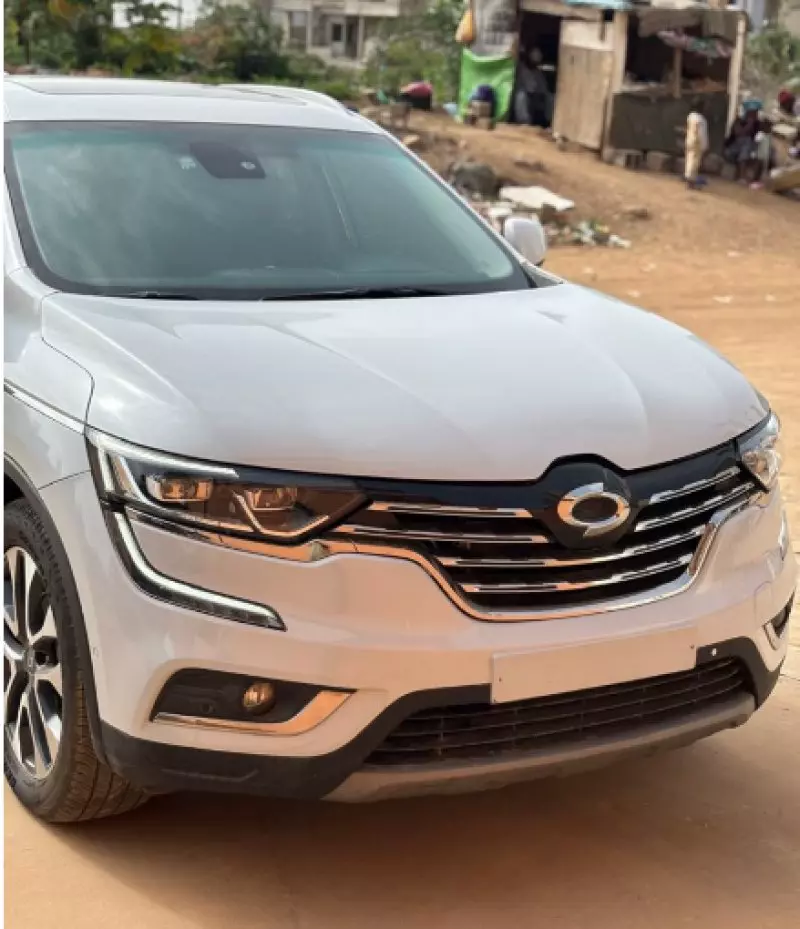 RENAULT QM3   - 2018