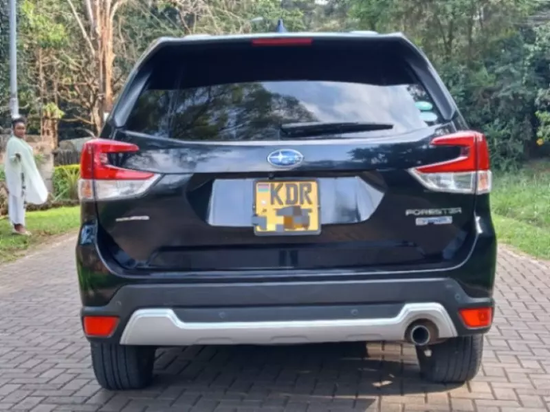 Subaru Forester   - 2019