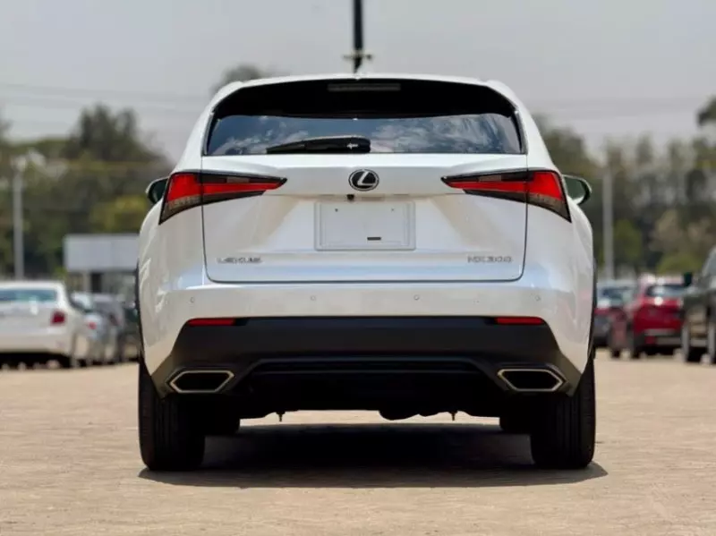 Lexus NX 300   - 2018