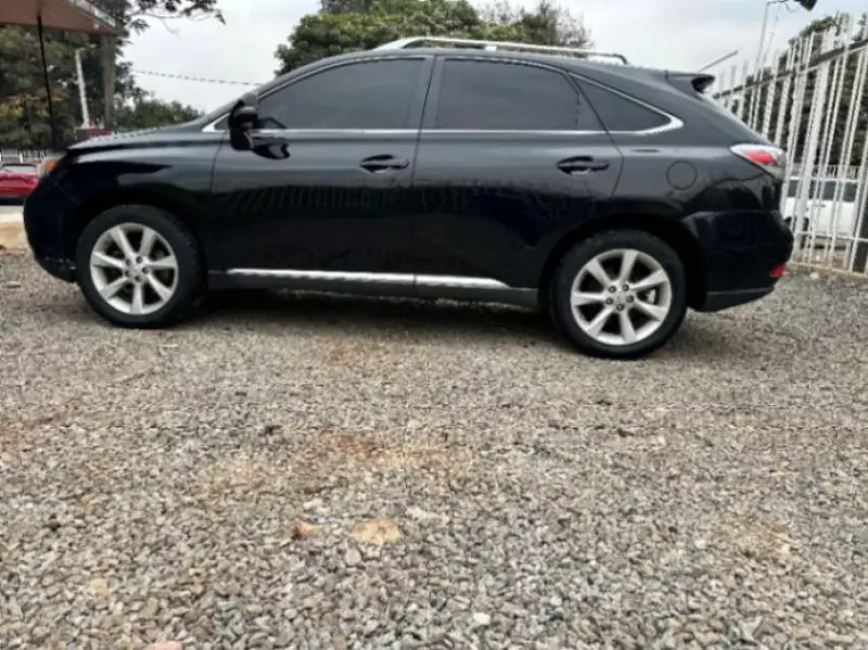 Lexus RX   - 2017