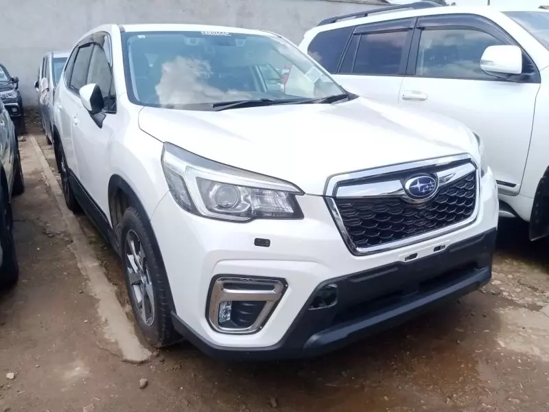 Subaru Forester   - 2019