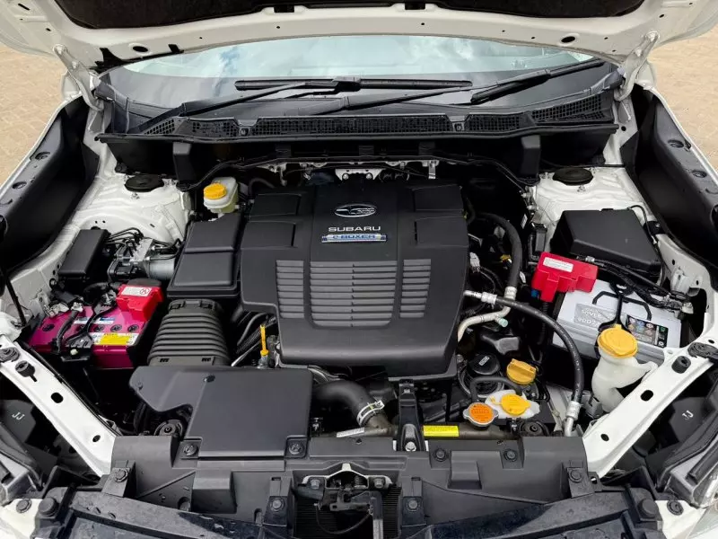 Subaru Forester   - 2019