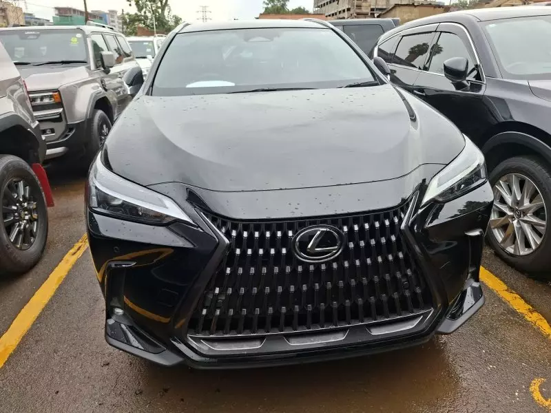 Lexus NX300h Hybrid   - 2023