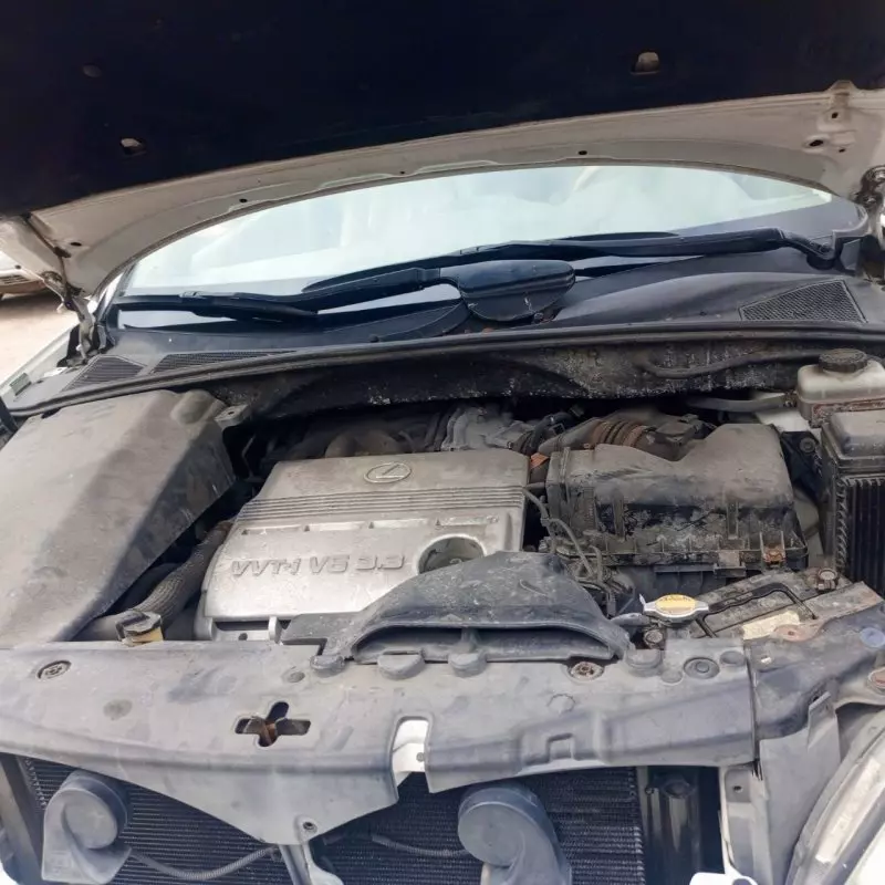 Lexus RX 330   - 2004