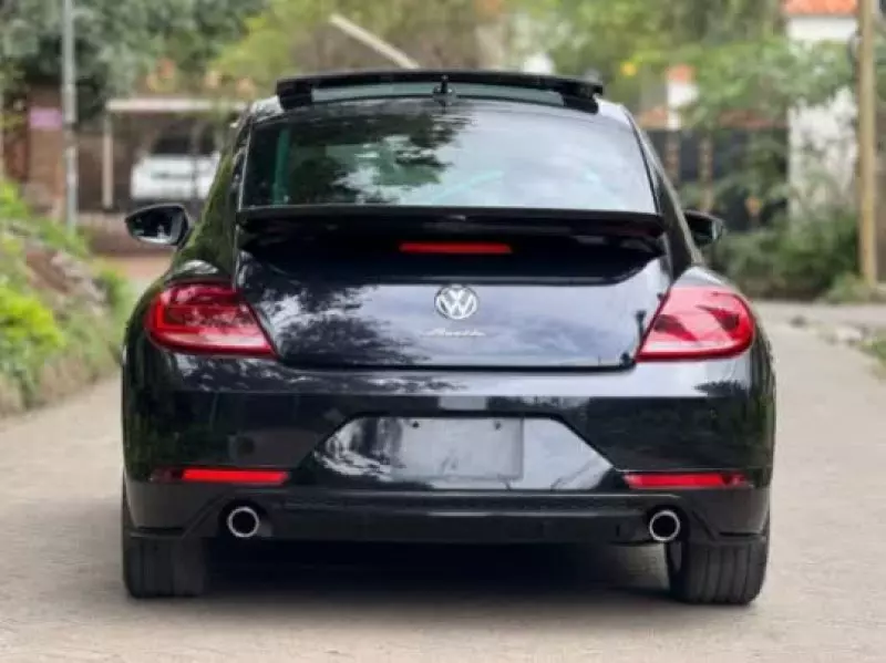 Volkswagen Beetle - 2019