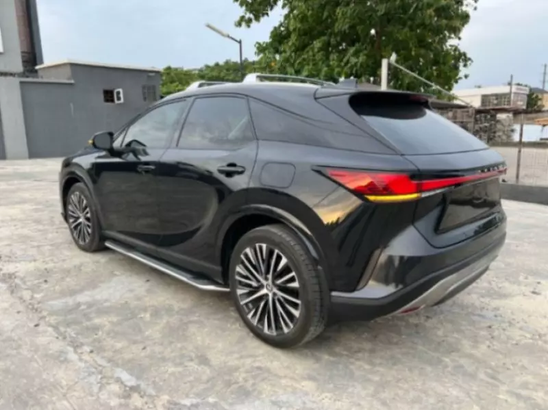 Lexus RX   - 2024