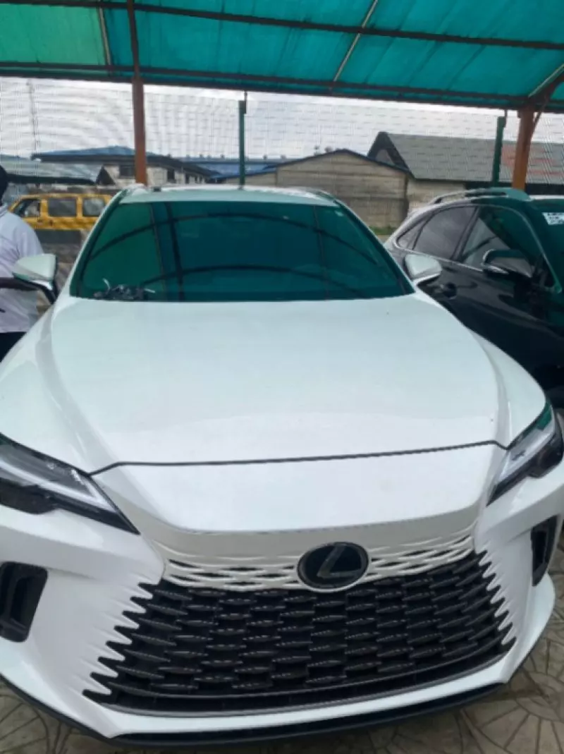 Lexus RX   - 2024