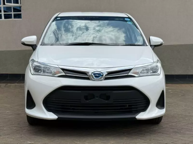 Toyota Axio    - 2018