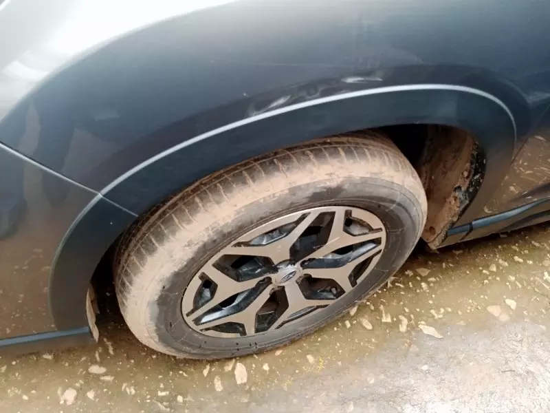 Subaru Forester   - 2019