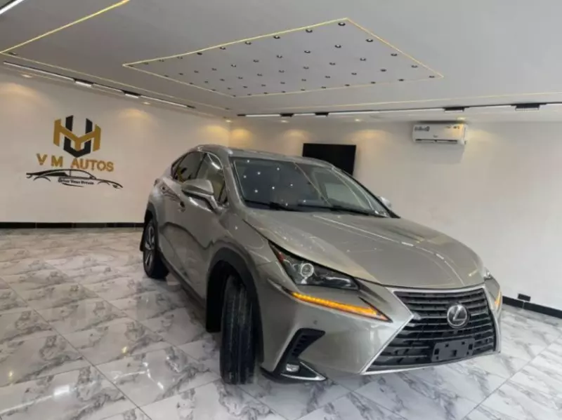 Lexus NX   - 2018