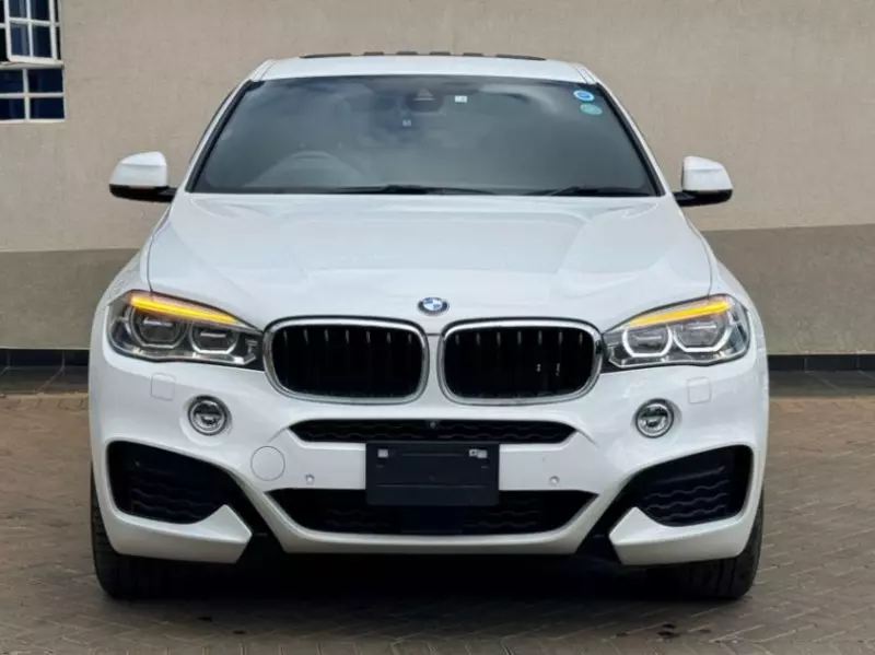 BMW X6   -