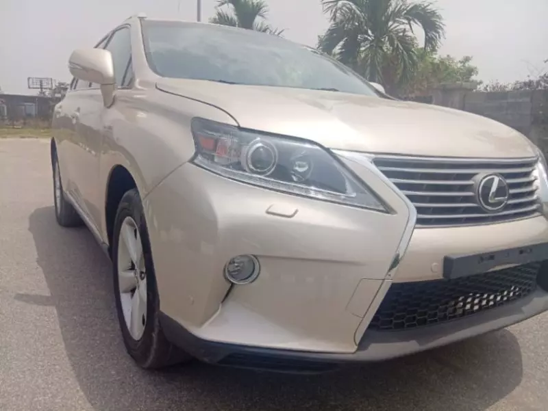 Lexus RX - 2013