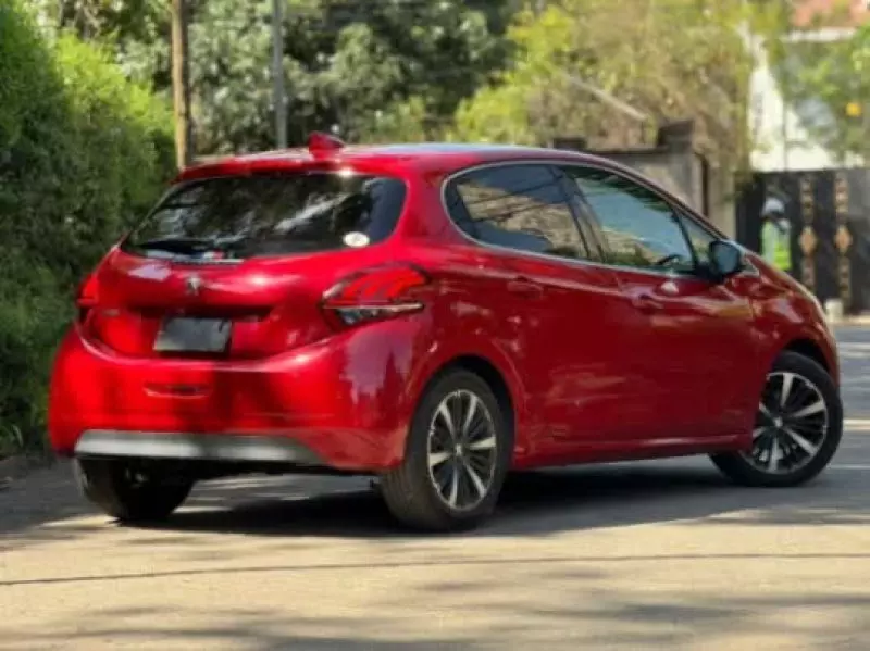 Peugeot 208   - 2019