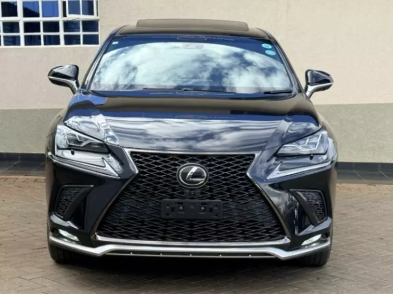 Lexus NX 300   - 2019