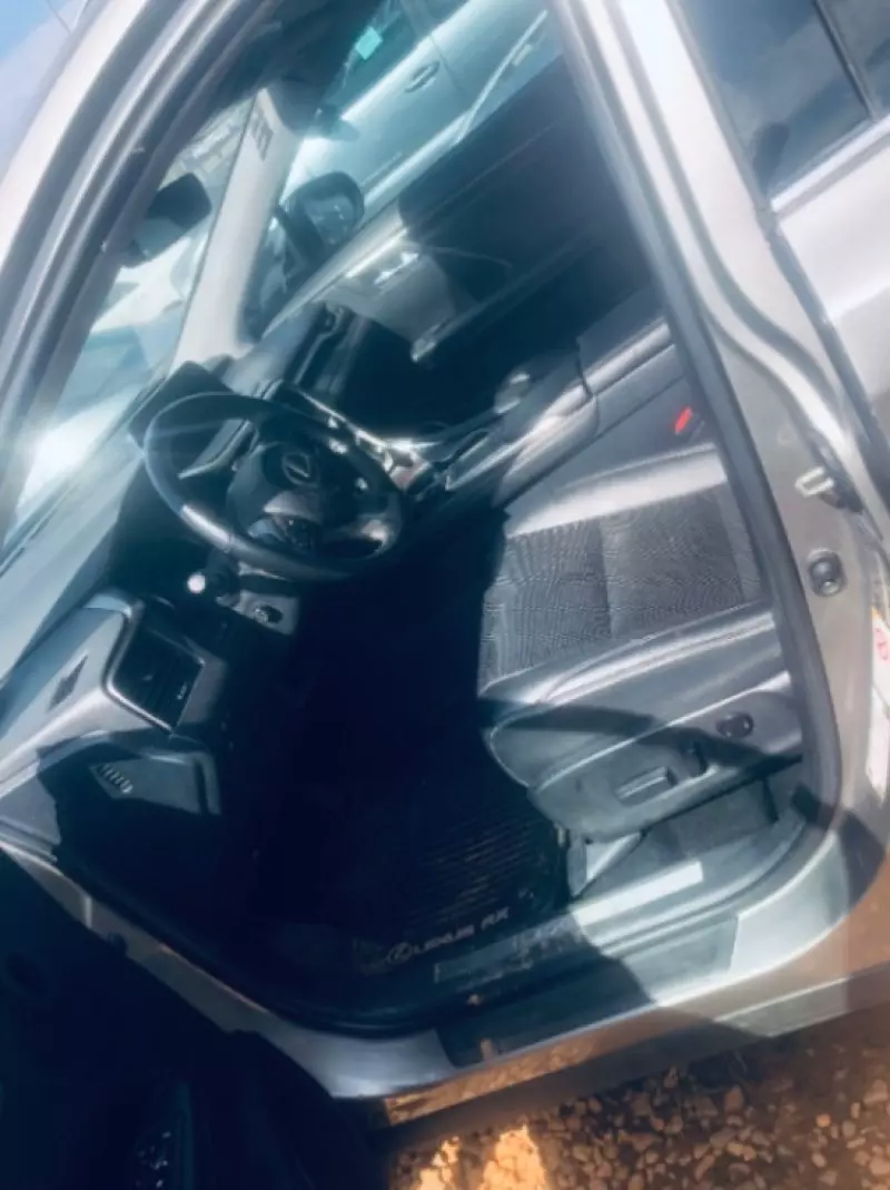 Lexus RX 350   - 2020