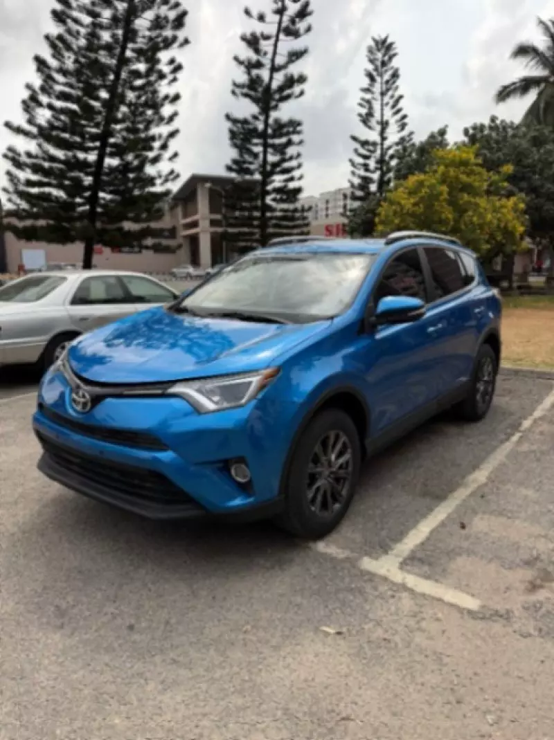 Toyota RAV4   - 2016