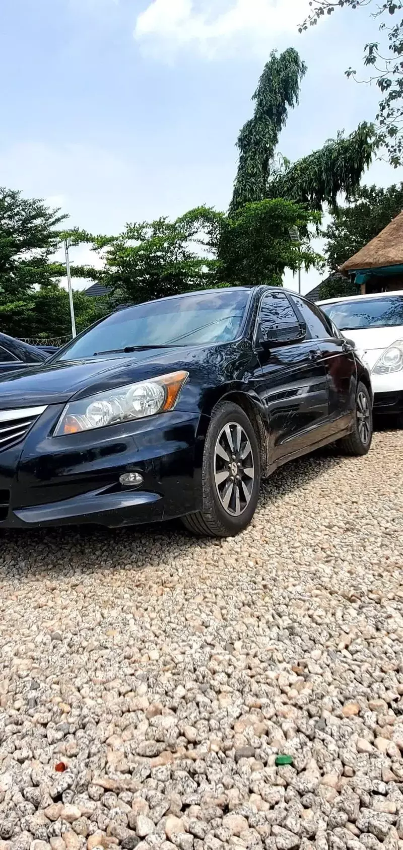 Honda Accord   -