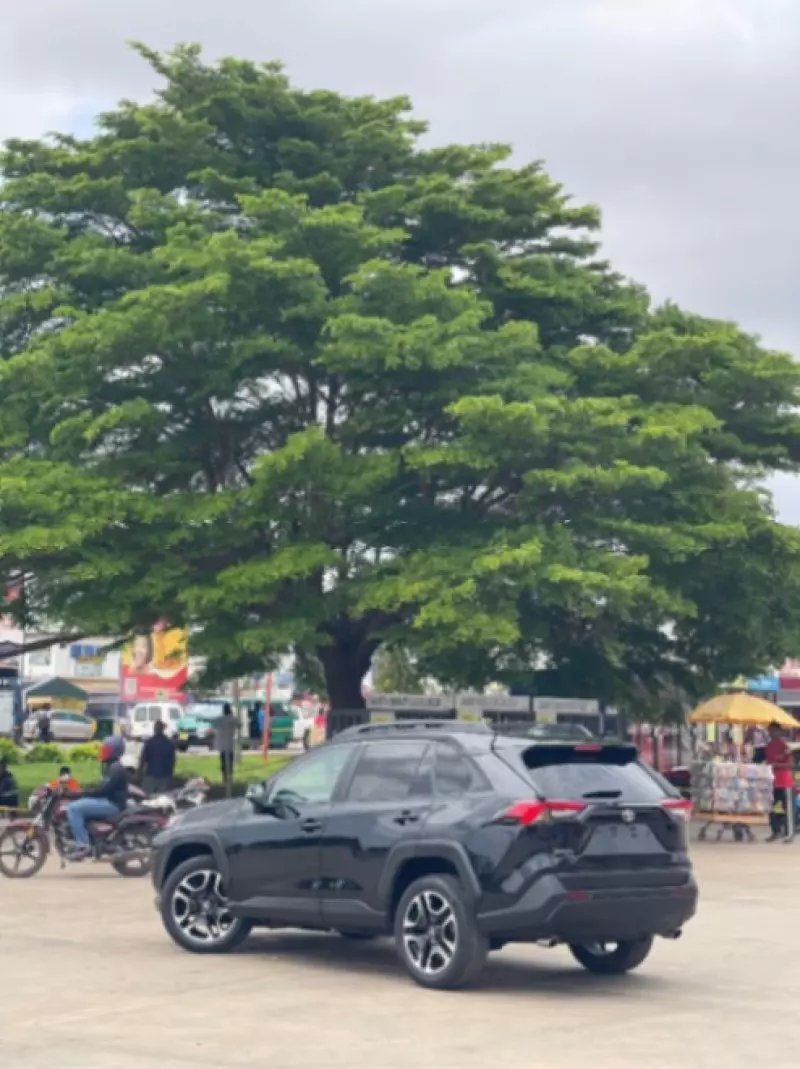Toyota RAV4   - 2019