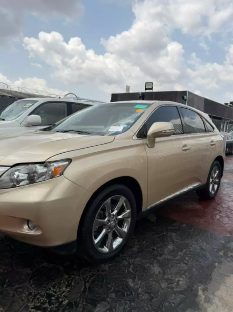 Lexus RX   - 2010