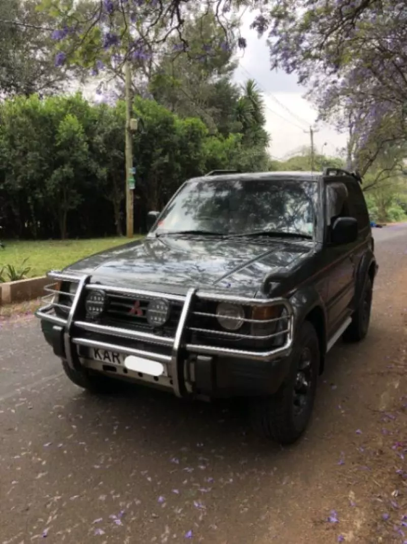 Mitsubishi Pajero - 1996