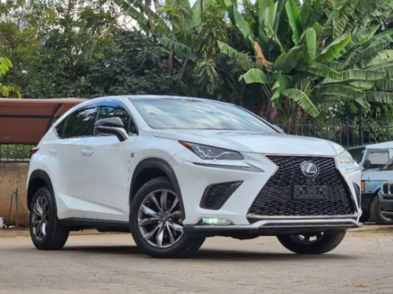 Lexus NX 300   - 2019