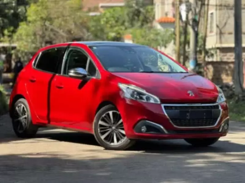 Peugeot 208   - 2019