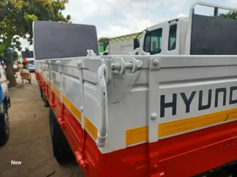 Hyundai Rhino   - 2004