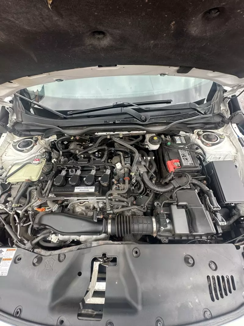 Honda Civic   - 2017