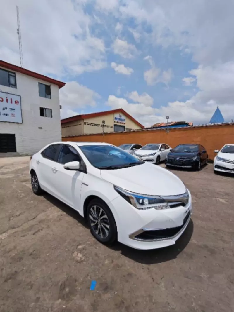 Toyota Corolla   - 2019