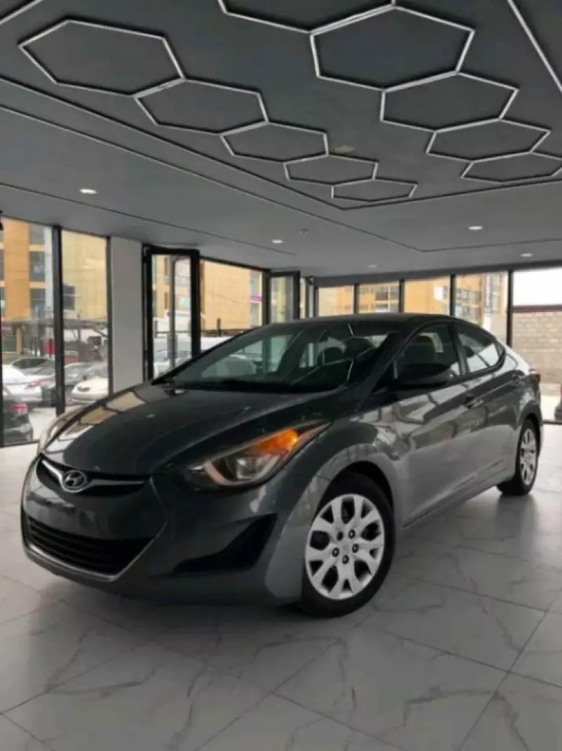 Hyundai Elantra   - 2014